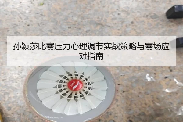 孙颖莎比赛压力心理调节实战策略与赛场应对指南
