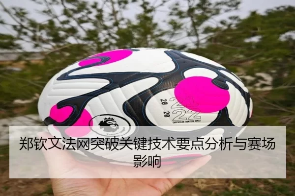 郑钦文法网突破关键技术要点分析与赛场影响